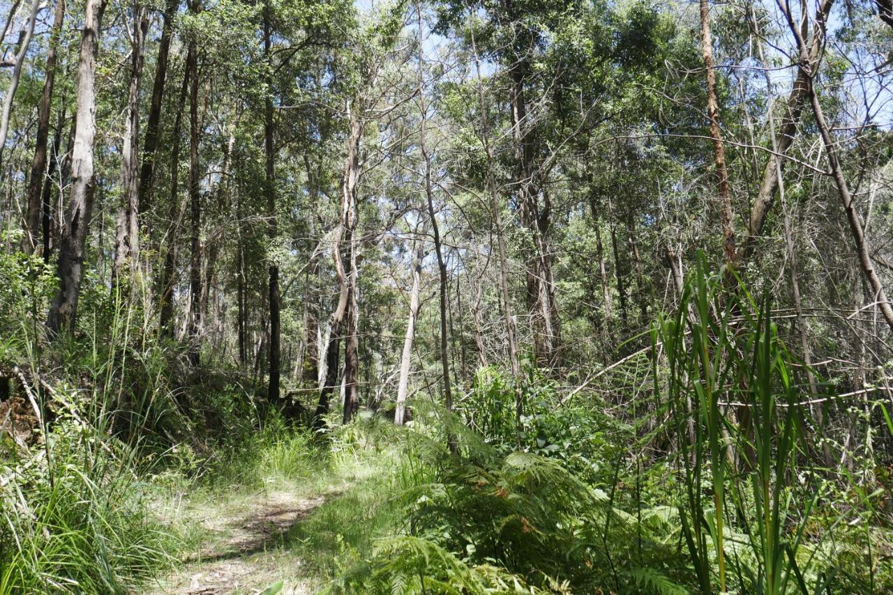 True North - 4Br Home & Garden In Bush Setting With Huge Bath Bilpin Exterior foto